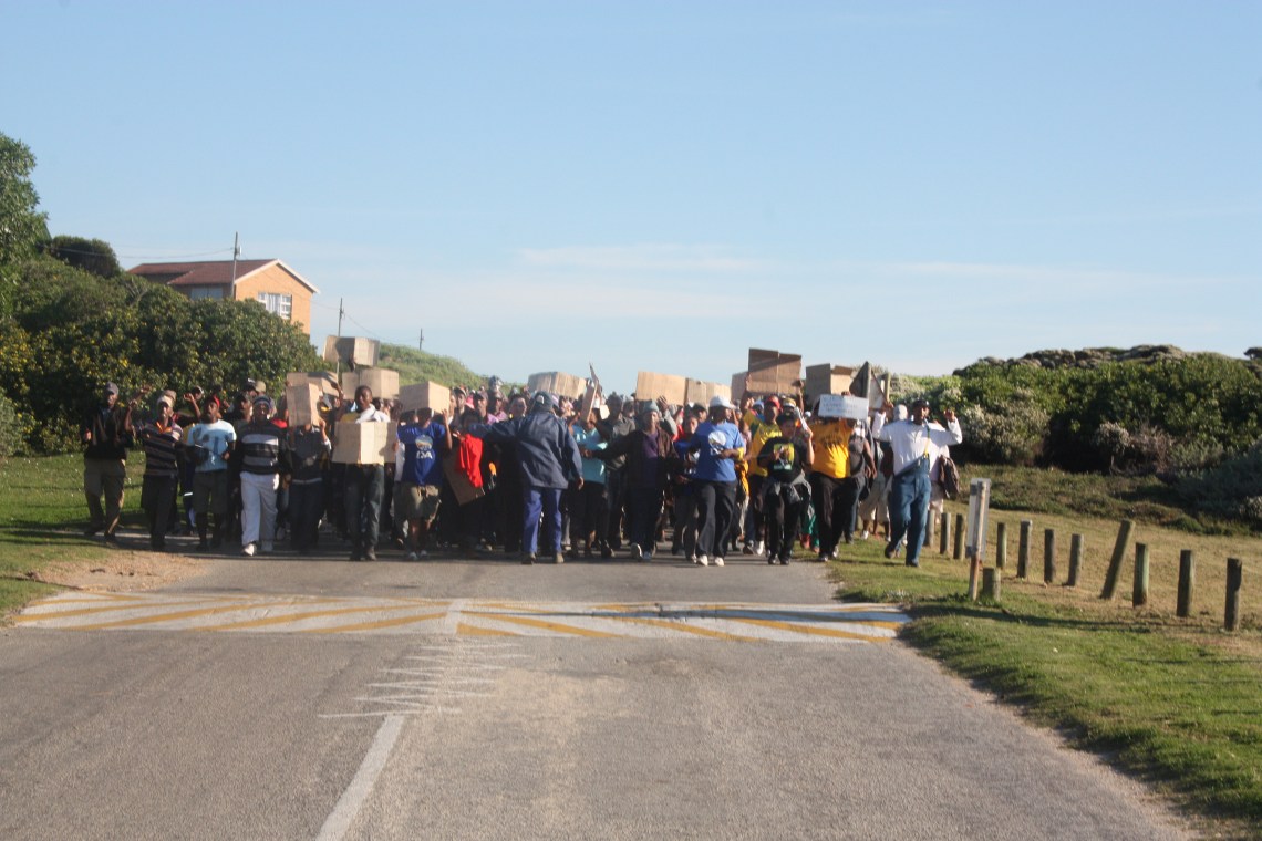 orchids and march 034