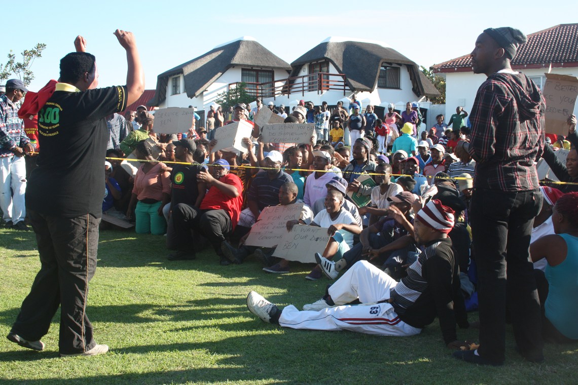 orchids and march 043