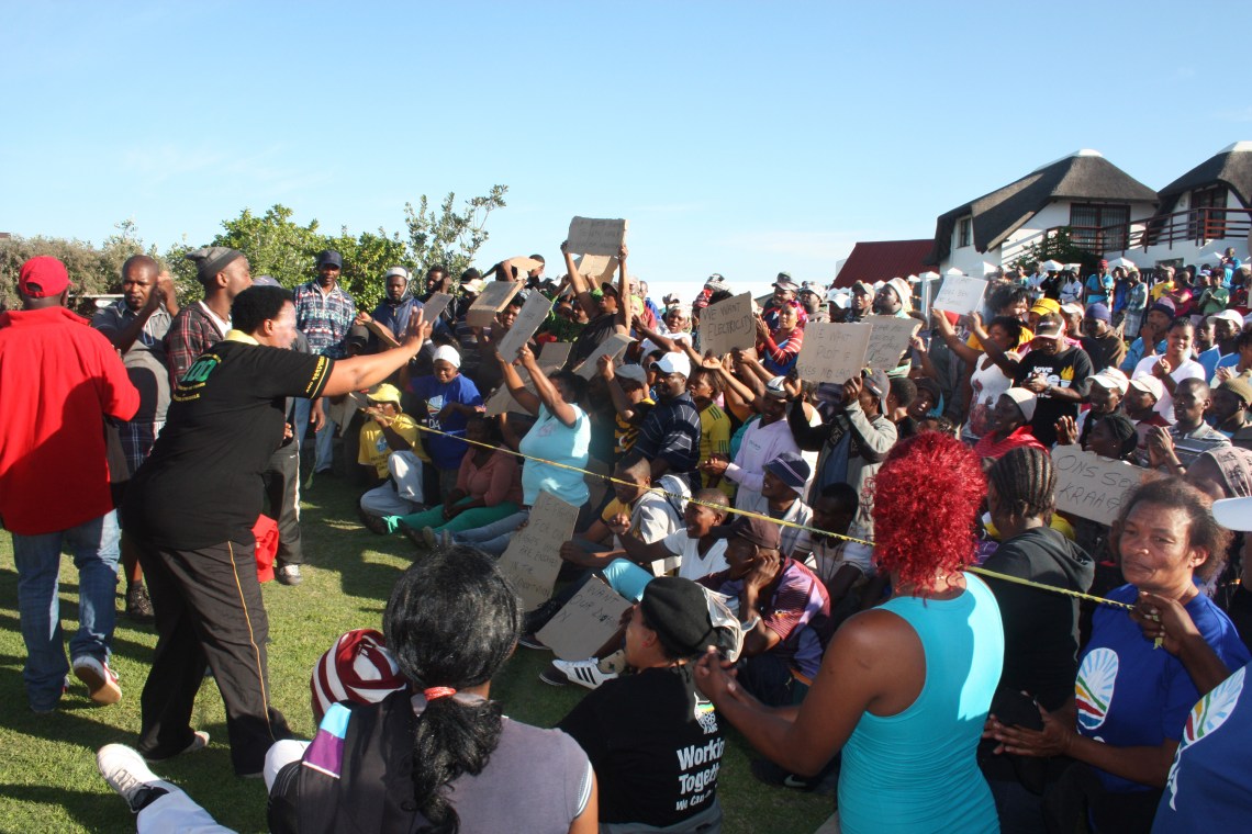 orchids and march 049