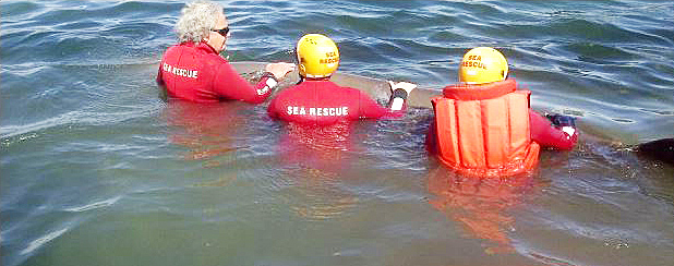 NSRI volunteers trying to get the whale back into deep water. Photo: NSRI/Flickr