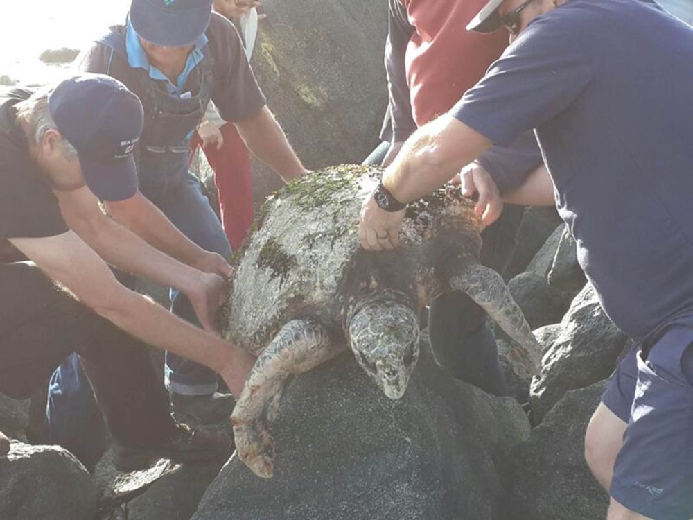 14180732288_3d26bb0e45_o