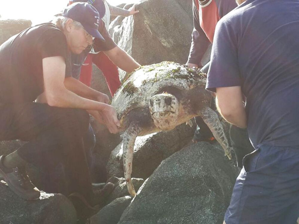 14364025651_cfe7729812_o