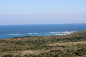 Photo of Thyspunt , taken on the proposed nuclear site itself, by Bev Mortimer