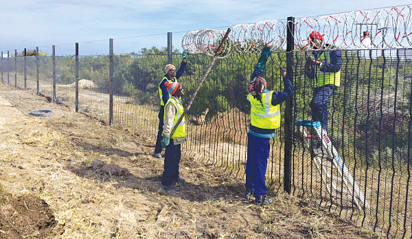 eskom fences on rd to csf